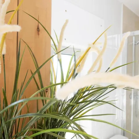 度假居 Apartagal- Casa Playa, Foz Nois